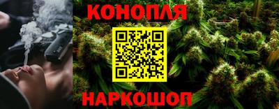 Альфа ПВП Новодвинск